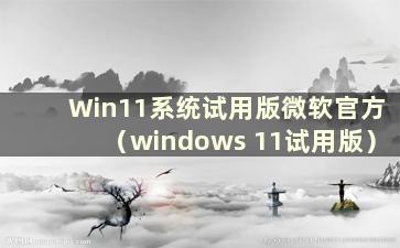 Win11系统试用版微软官方（windows 11试用版）